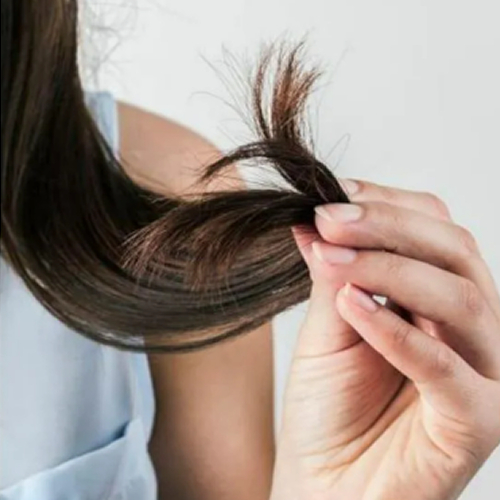 外泌體育髮療程（毛囊活化）